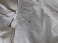 -三亚海棠湾万丽度假酒店