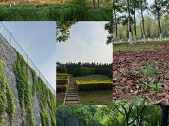 -滨河世纪广场公园