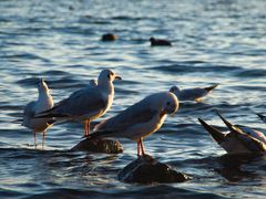 -丽江泸沽湖景区
