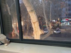 -鲁南仔·滕州炒鸡(经三路店)
