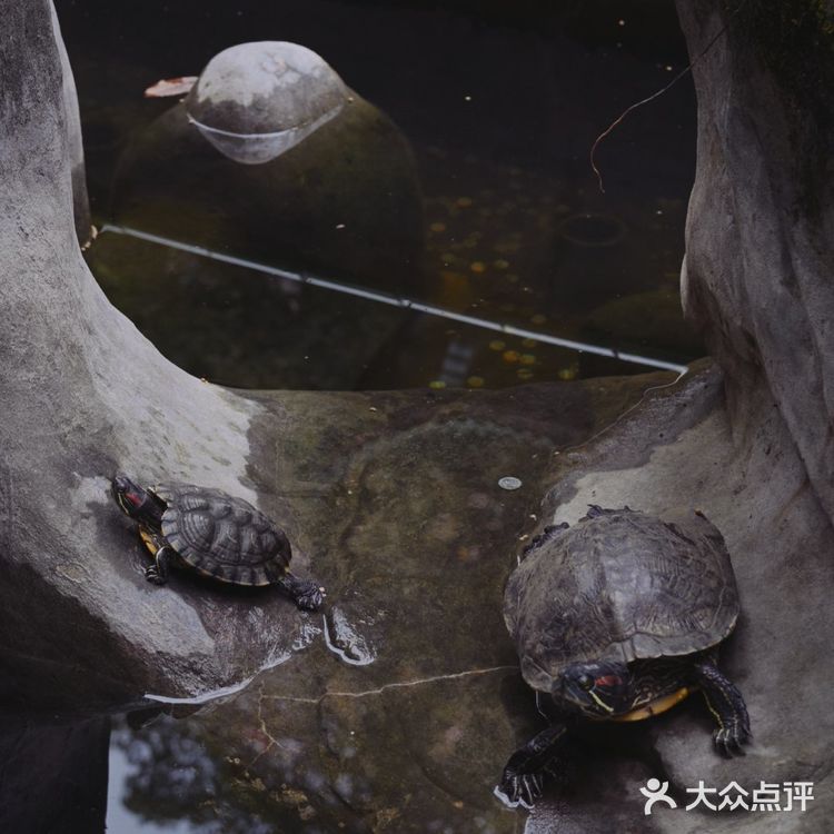 初秋，宜登高望远