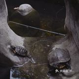 初秋，宜登高望远