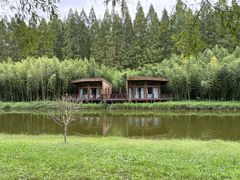 -黄海国家森林公园