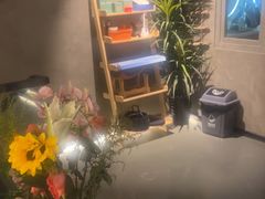 -施奈儿.洗头頭療.按摩SPA.采耳(上梅林店)