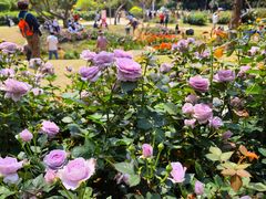 -人民公园(罗湖区)