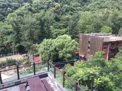 -Local泰莲庭(虹鳟鱼店)