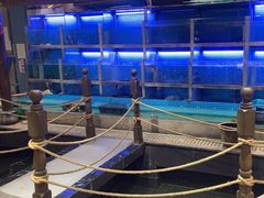 -赴宴楼(鸠兹古镇店)