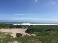 -龙坑生态保护区