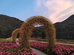 -广州市石门国家森林公园