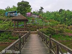 -沐川竹海旅游景区