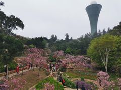 -狐尾山公园