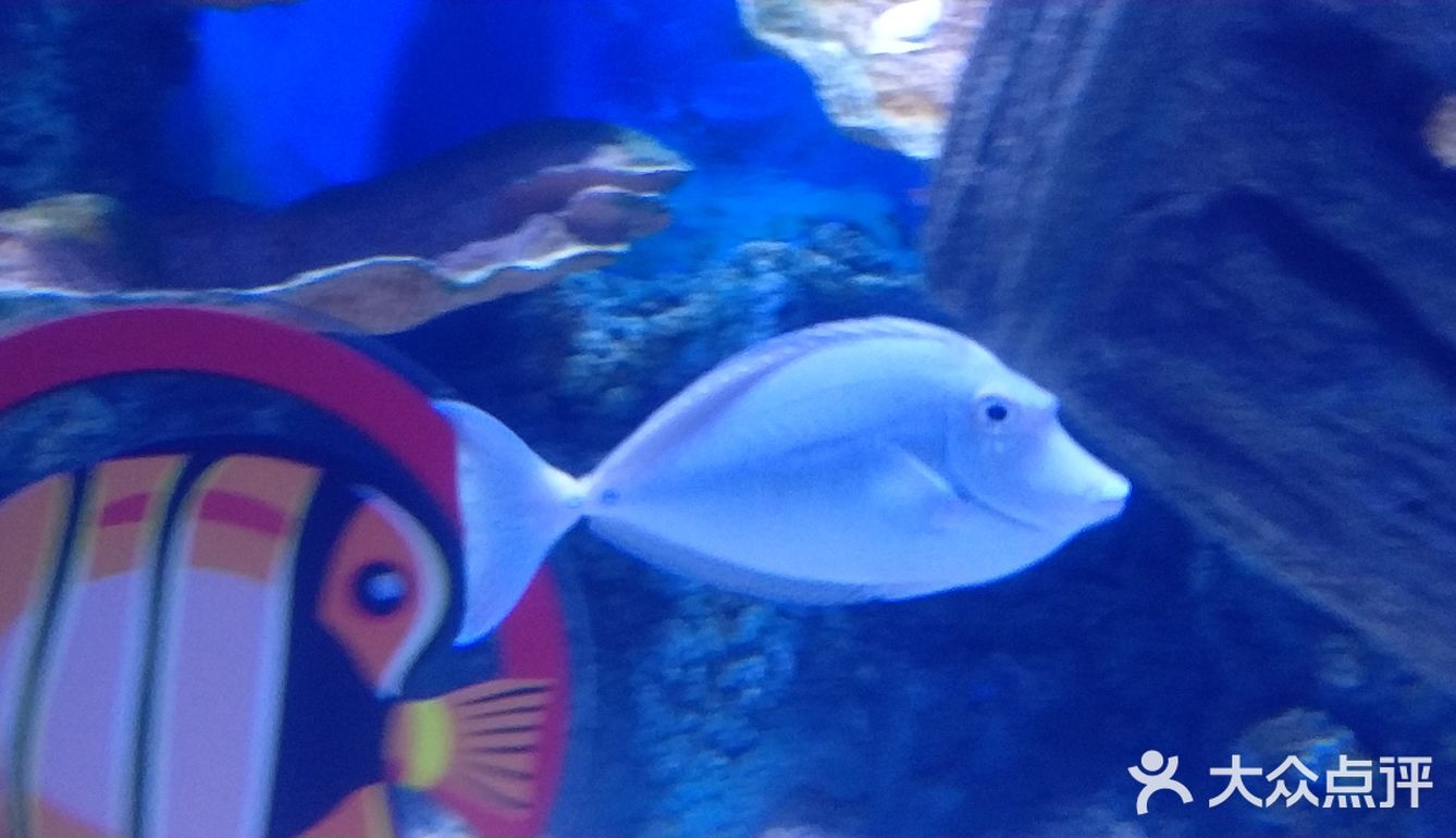 这家茶饮店椅子不太好