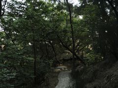 -草庵摩尼教遗址公园