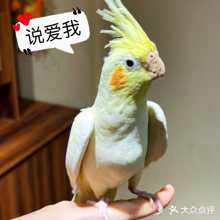 zoolung萌宠乐园[爱心]游记