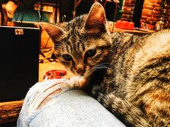 -在路上酒吧(大理古城店)