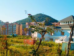 -外蒲山