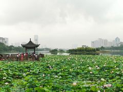 -南宁南湖公园
