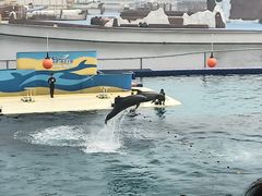 -秦皇岛乐岛海洋王国