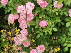 -盘龙城国家考古遗址公园