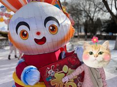 -沈阳奥体冰雪嘉年华