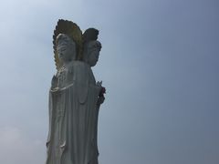 -白洋淀景区