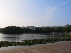 -新江湾城公园