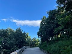 -鬼笑石后山停车场