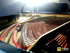 -Melody Mentor音乐私教馆(朝外·悠唐店)