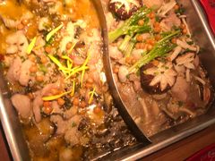-舒来喜鱼锅(伊河路店)