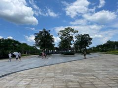 -广州白江湖森林公园