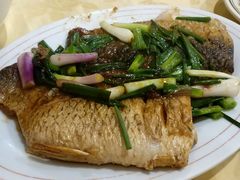 姜葱鲩鱼腩-电白鸭粥店(下沙二坊88号店)