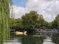 -西湖天地
