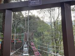 -龙岩森林水乡景区