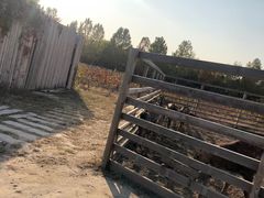 -安德鲁户外烧烤帐篷营地(马泉营店)