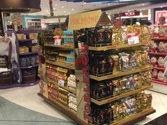 -西沃古尔·拉姆古兰爵士国际机场