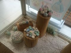 -云朵上的鱼(莘庄店)