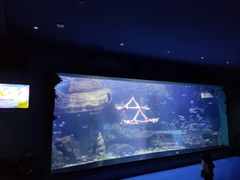 -多彩贵州城极地海洋世界