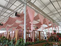-盈香心动乐园