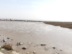 -南汇嘴观海公园