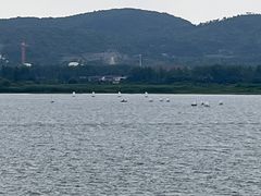 -南京金牛湖风景区