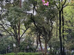 -杭州花家山庄