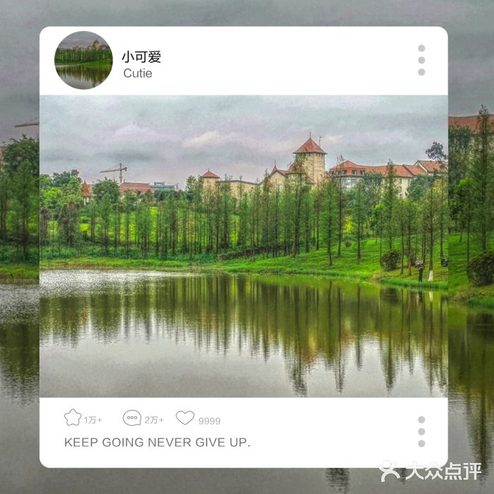 松山湖南湖湾露营营地图片