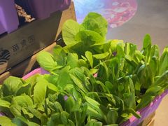 -番食园鲜食火锅(高新店)