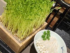 -捞王锅物料理(上海世茂广场店)