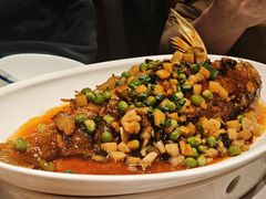 -新侨小馆(东直门北小街店)