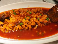 松鼠鱼-乾园(天河城店)