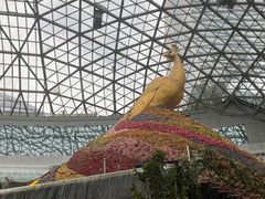 -花之城