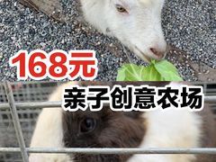 -前小桔亲子创意农场·草莓采摘·露营烧烤