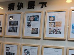 -半岛宠物医院24小时·内窥镜·牙科·碎石中心(府城大道店)
