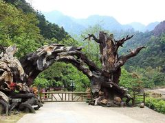 -龙湾潭国家森林公园